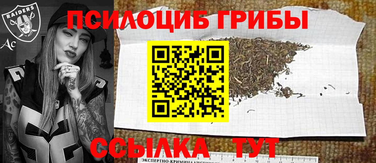 Похвистнево  Псилоцибиновые грибы Psilocybe  Вход с VPN  Галлюциногенные грибы мухоморы 